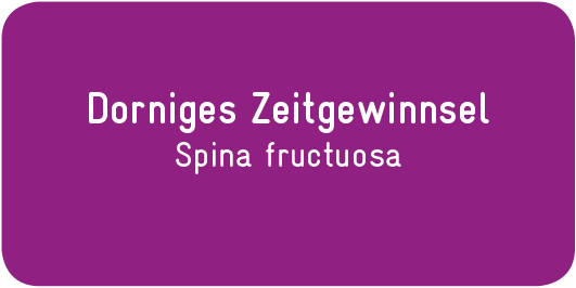 Dorniges-Zeitgewinnsel_Spina-fructuosa