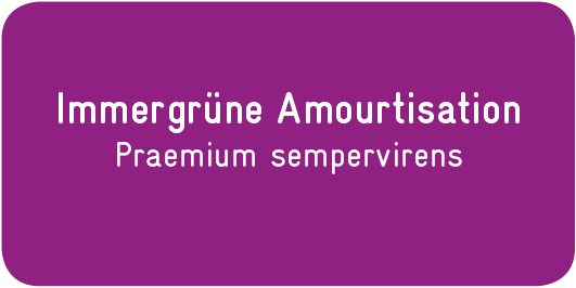 Immergrüne-Amourtisation_Praemium-sempervirens