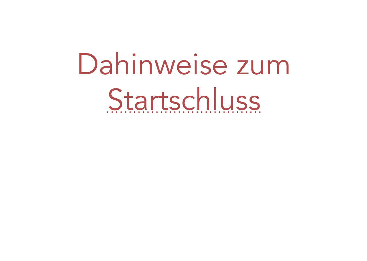 dahinweise-zum-startschluss-phrasardeur